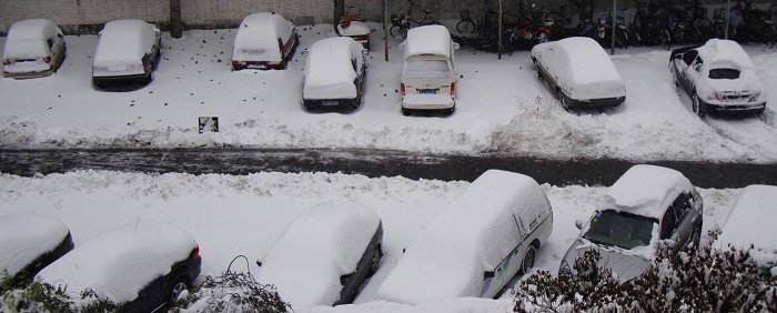 丰年好大雪