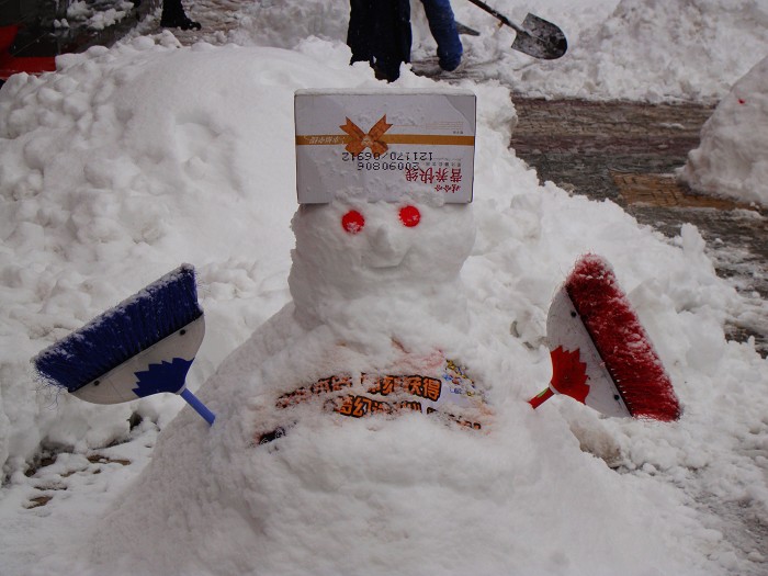 丰年好大雪