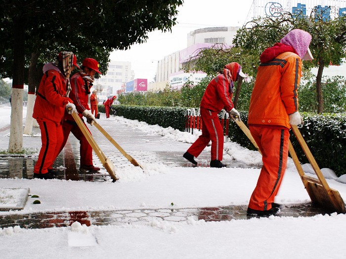 辛勤的雪后人
