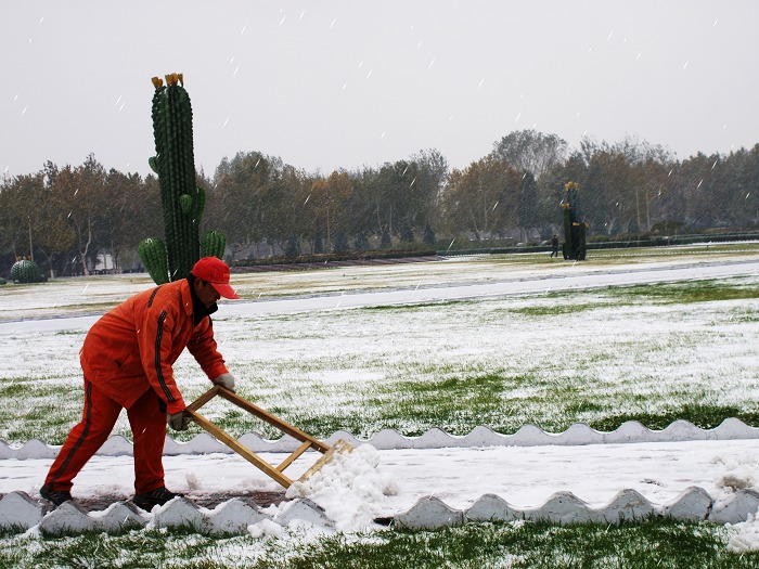 辛勤的雪后人