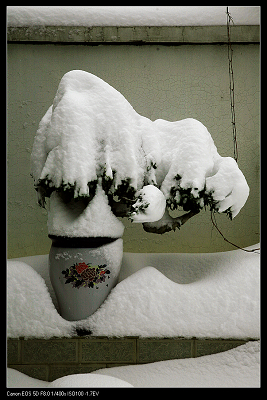 大雪小景