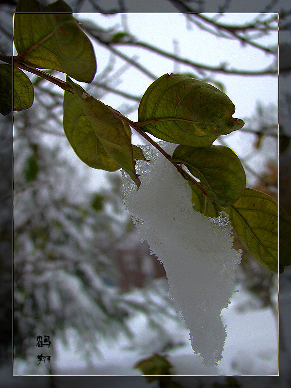 第一次学拍雪景