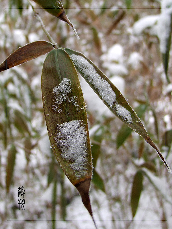 第一次学拍雪景