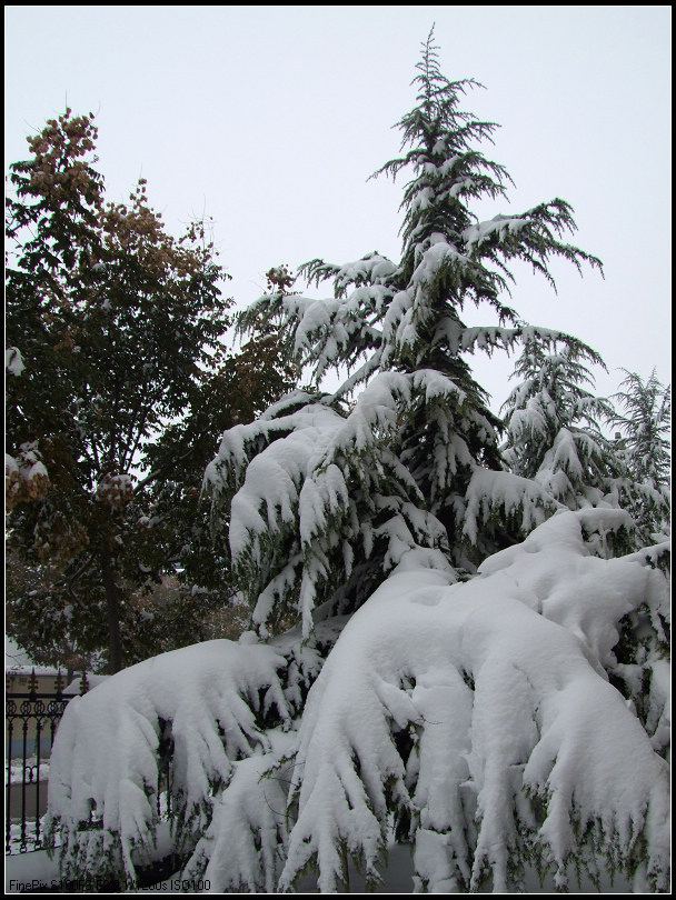 第一次学拍雪景