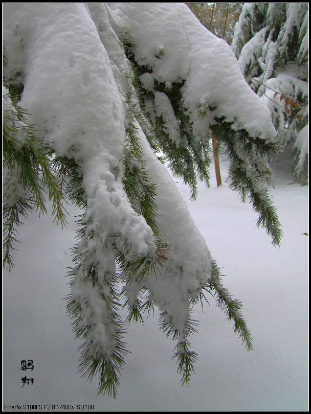 第一次学拍雪景