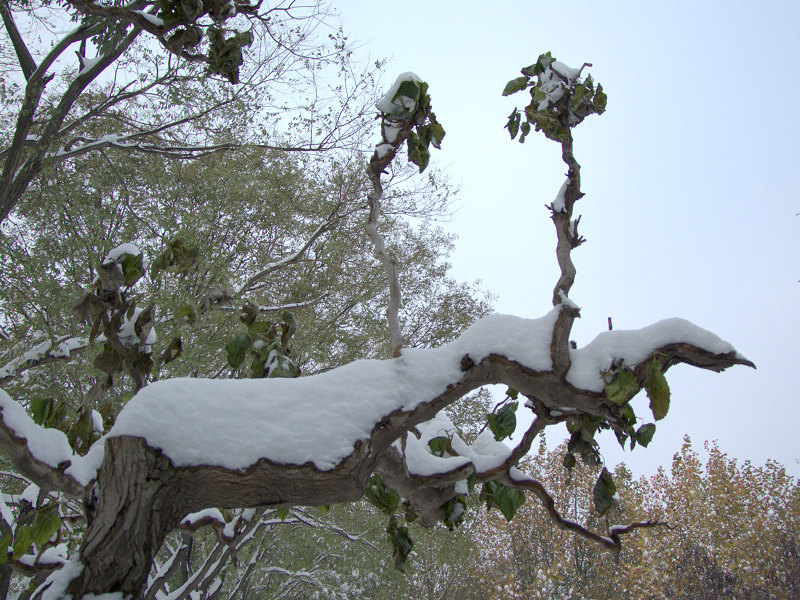 第一次学拍雪景
