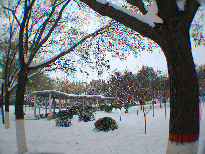 第一次学拍雪景