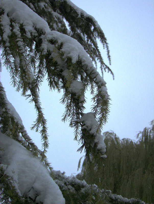 第一次学拍雪景