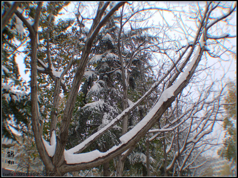 第一次学拍雪景