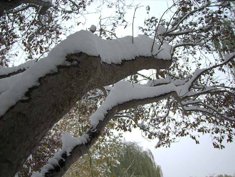 第一次学拍雪景
