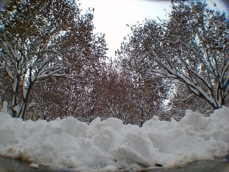 第一次学拍雪景