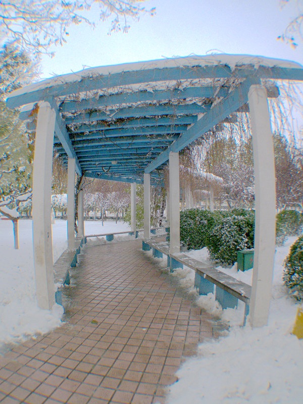 自制广角（带鱼眼效果）镜试机