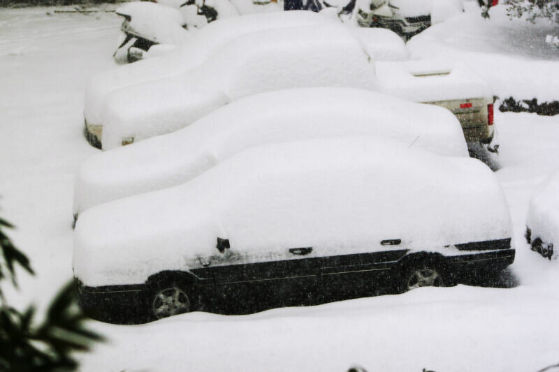 龙城初雪