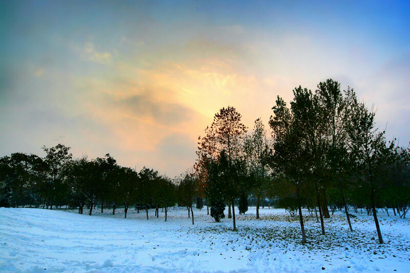 龙城初雪