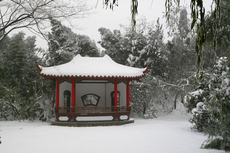 龙城初雪