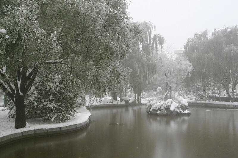 龙城初雪