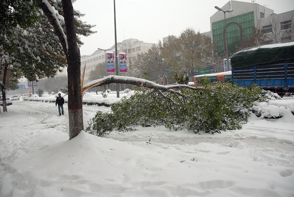 大雪的杰作