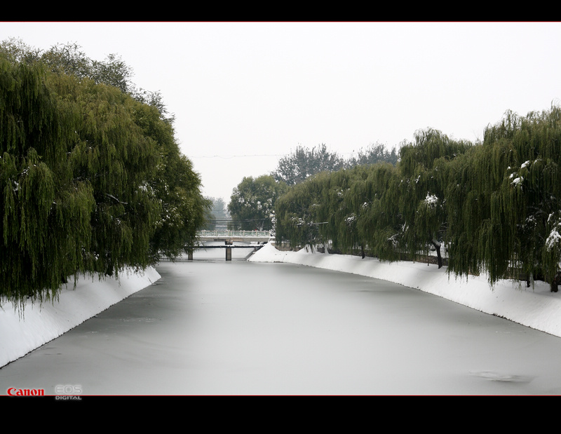 2009年的第一场雪