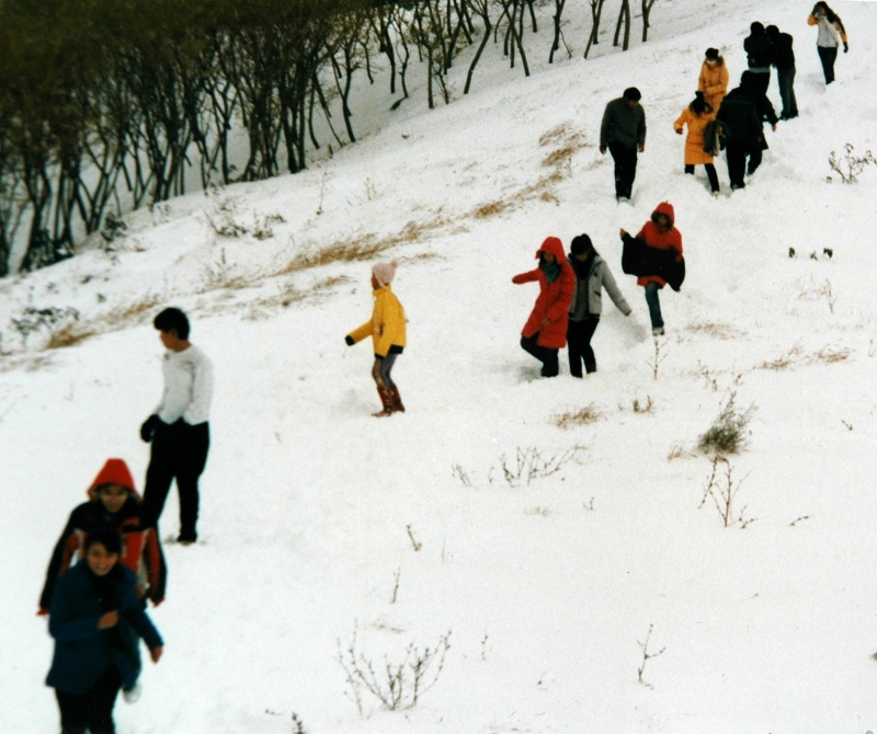 踏雪