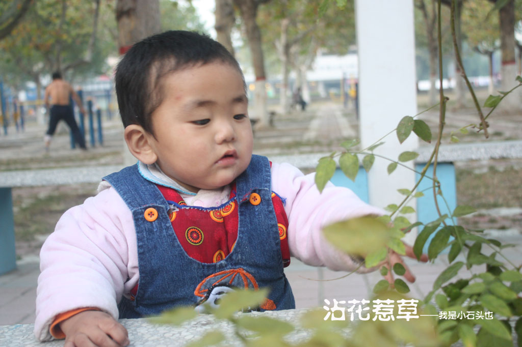 “沾花惹草”