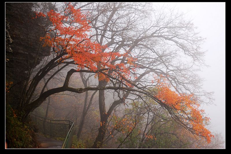 10月24日光雾山