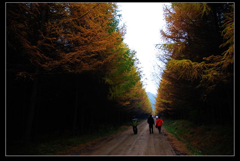 10月24日光雾山