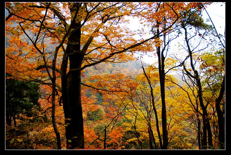 10月24日光雾山