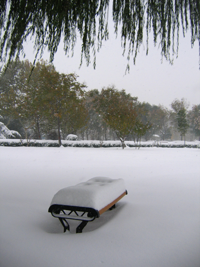 雪后