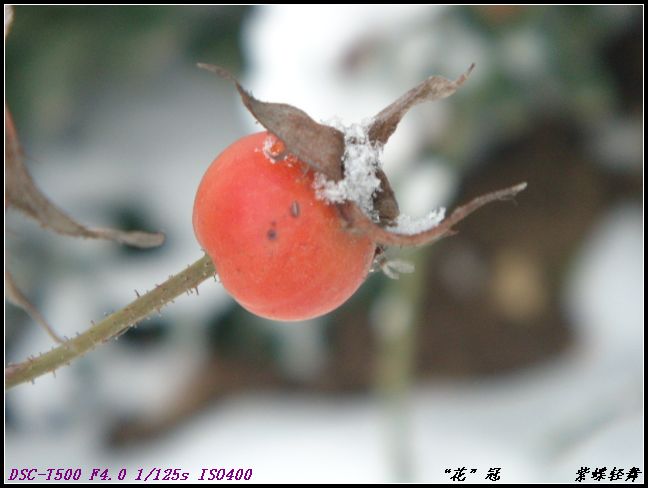 “花”冠