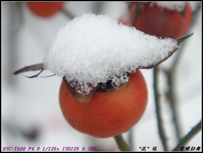 “花”冠