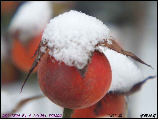 “花”冠