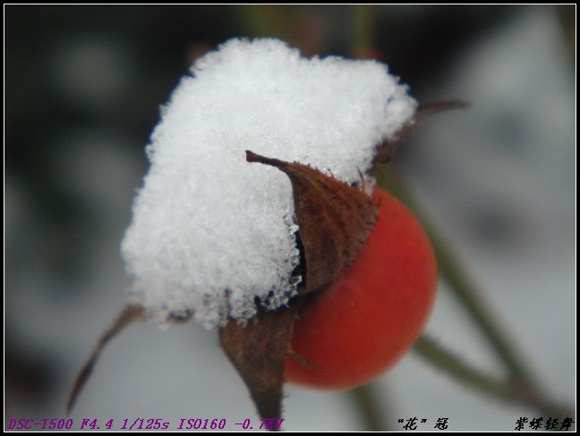 “花”冠
