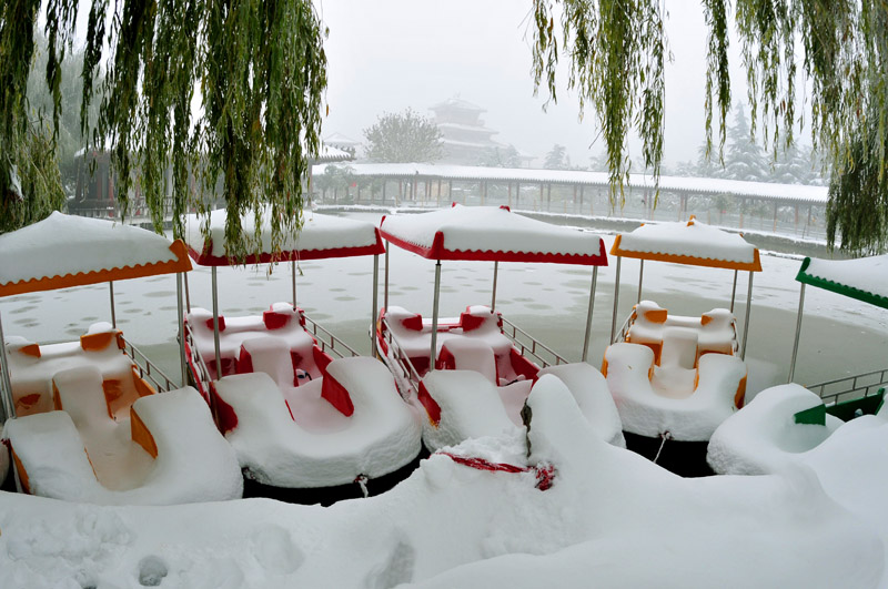 戚城雪姿
