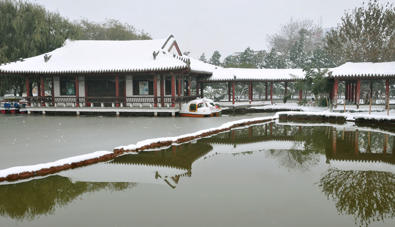 戚城雪姿