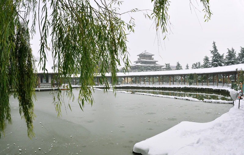 戚城雪姿