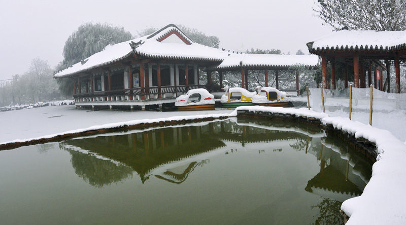 戚城雪姿