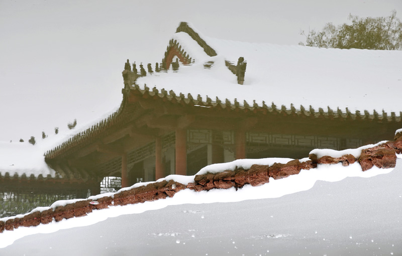 戚城雪姿