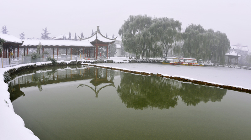 戚城雪姿