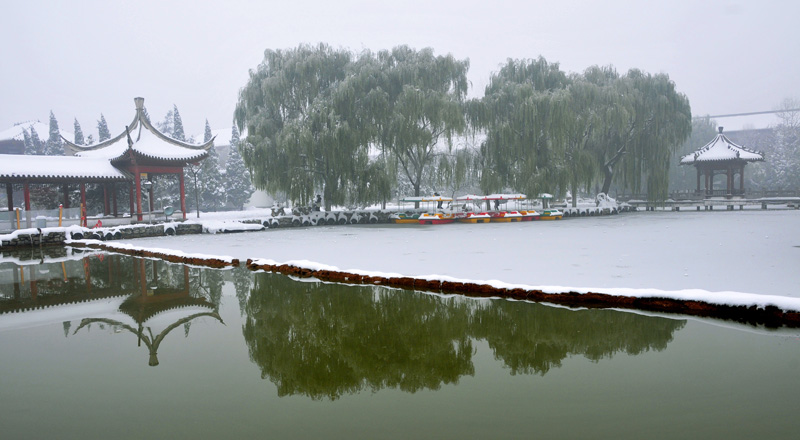 戚城雪姿