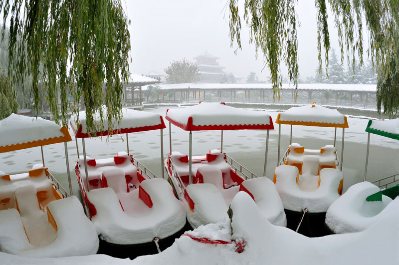戚城雪姿