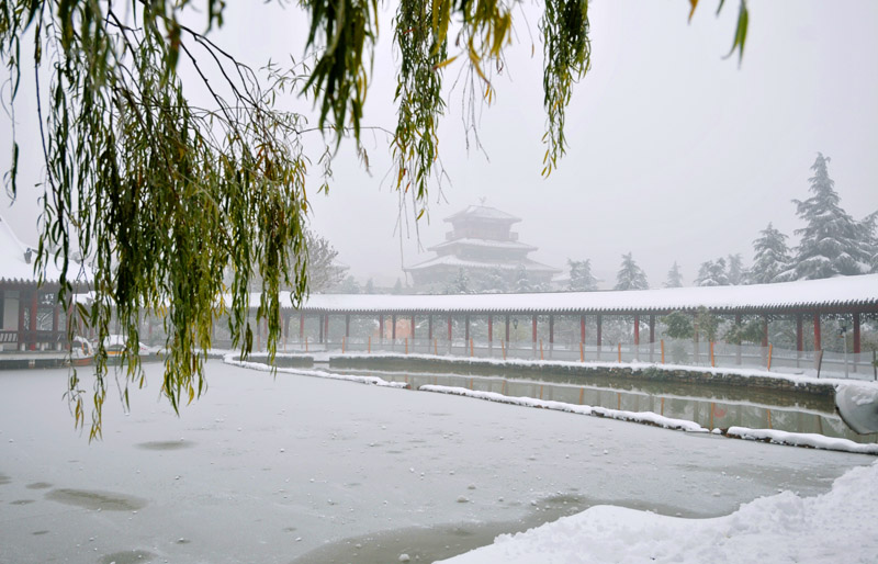 戚城雪姿