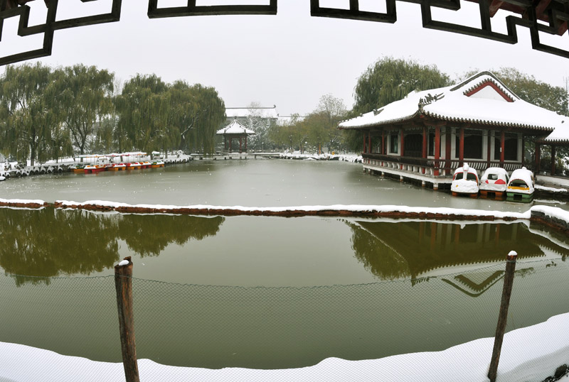戚城雪姿