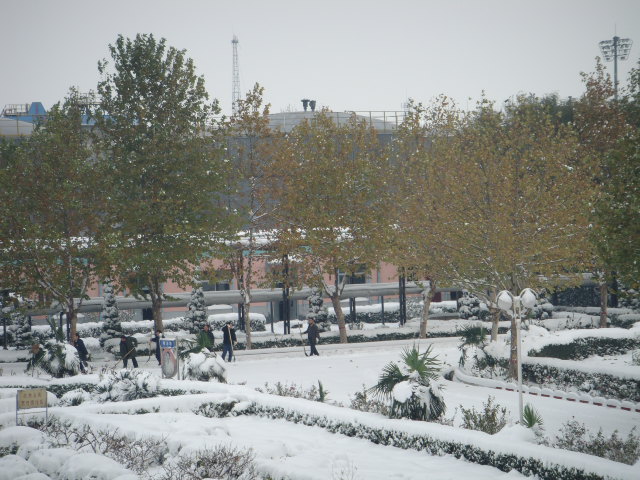 厂区雪景