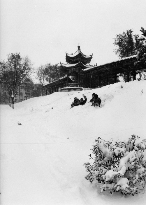 雪景小片——各位都发的差不多了，俺也发两张玩玩儿~