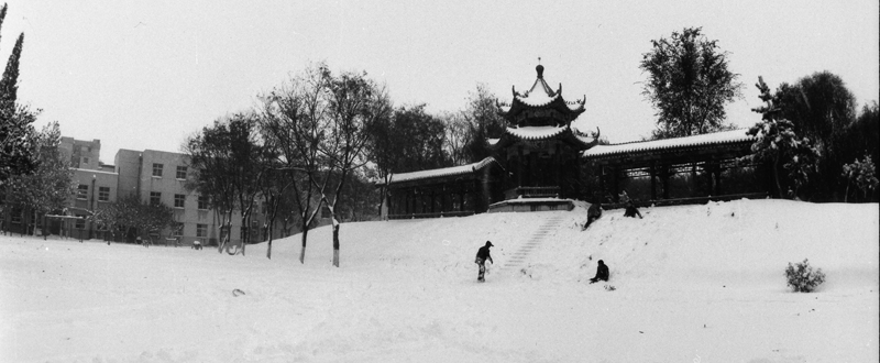 雪景小片——各位都发的差不多了，俺也发两张玩玩儿~