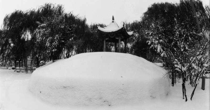 雪景小片——各位都发的差不多了，俺也发两张玩玩儿~