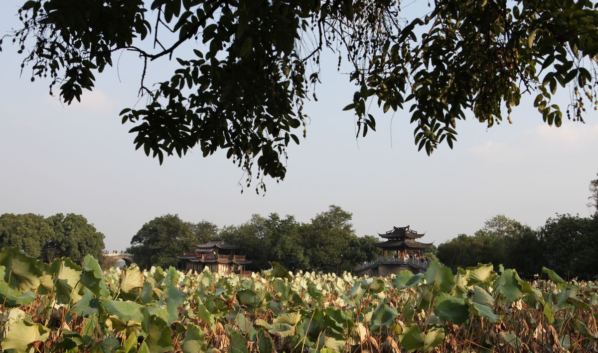 行摄杭州