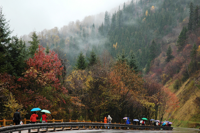 雨游九寨
