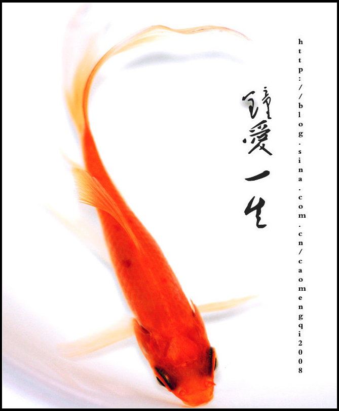 红色的精灵