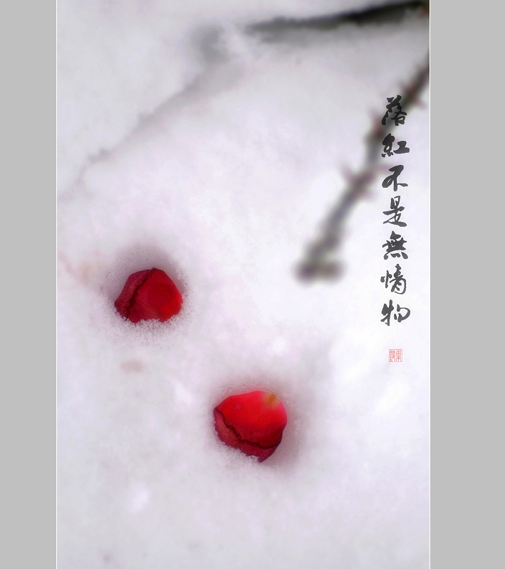落红